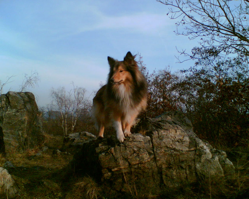 Obraz019.jpg